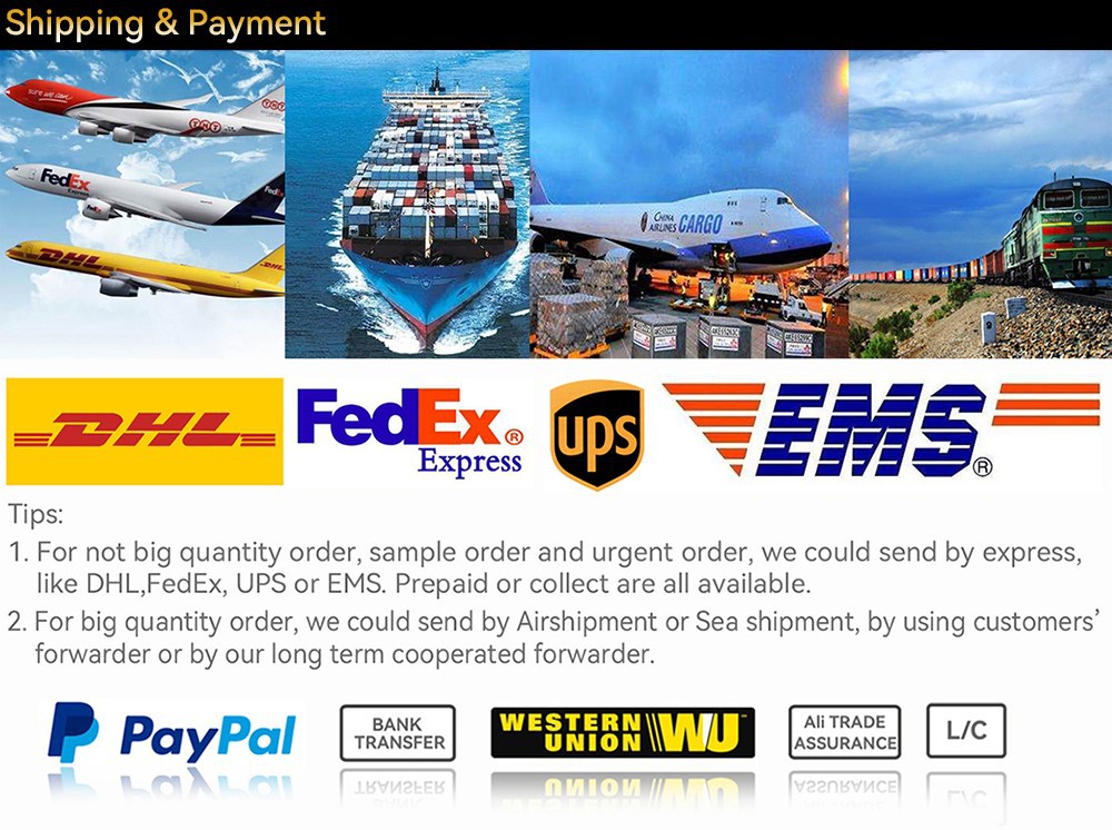 Shipping and Payment Shipping and Payment