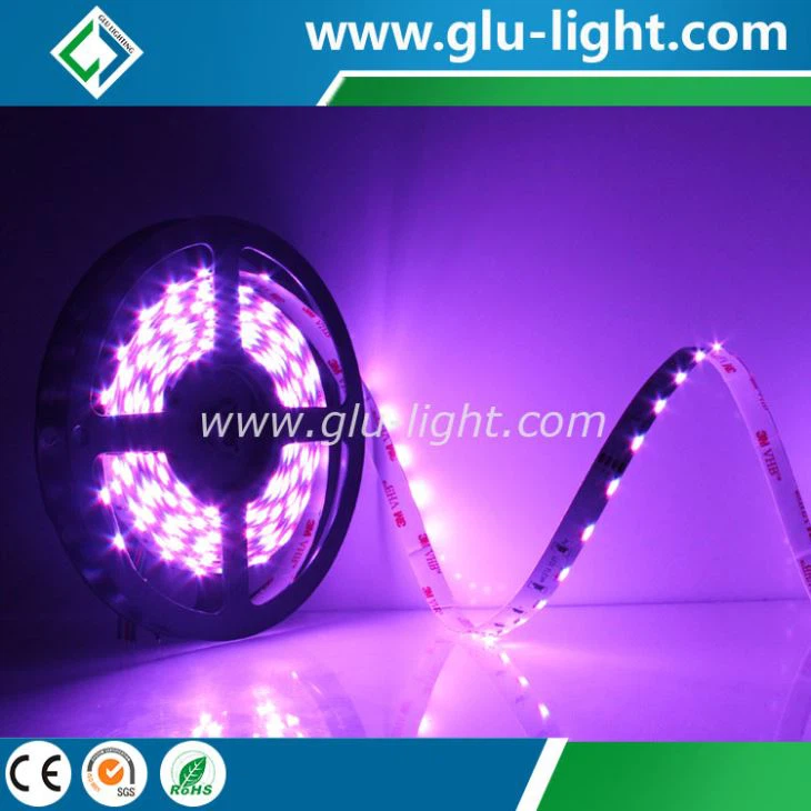 Made in China EGB Color Side view led strip 